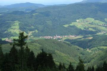 Bauernhof für 4 Personen in Oberharmersbach, Mittlerer Schwarzwald, Bild 3