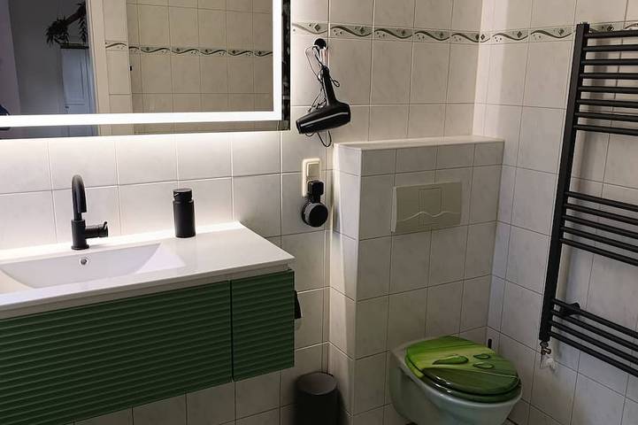 Ganze Wohnung, Smarte Ferienwohnung 80qm mit Sauna im historischem Gebäude  Ballenstedt im Harz in Ballenstedt, Harzvorland