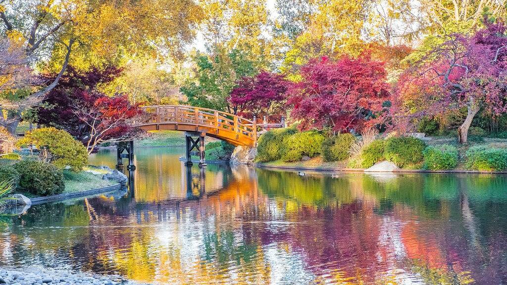 Ganze Wohnung, Familienfreundlich, sicher und künstlerisch in der Nähe von Botanical Gardens w / Patio & Parkplatz in St. Louis, Missouri