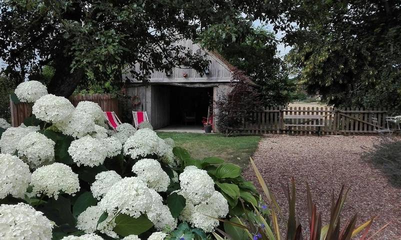 Location de vacances pour 6 personnes, avec jardin, animaux acceptés à Mont-près-Chambord - 4