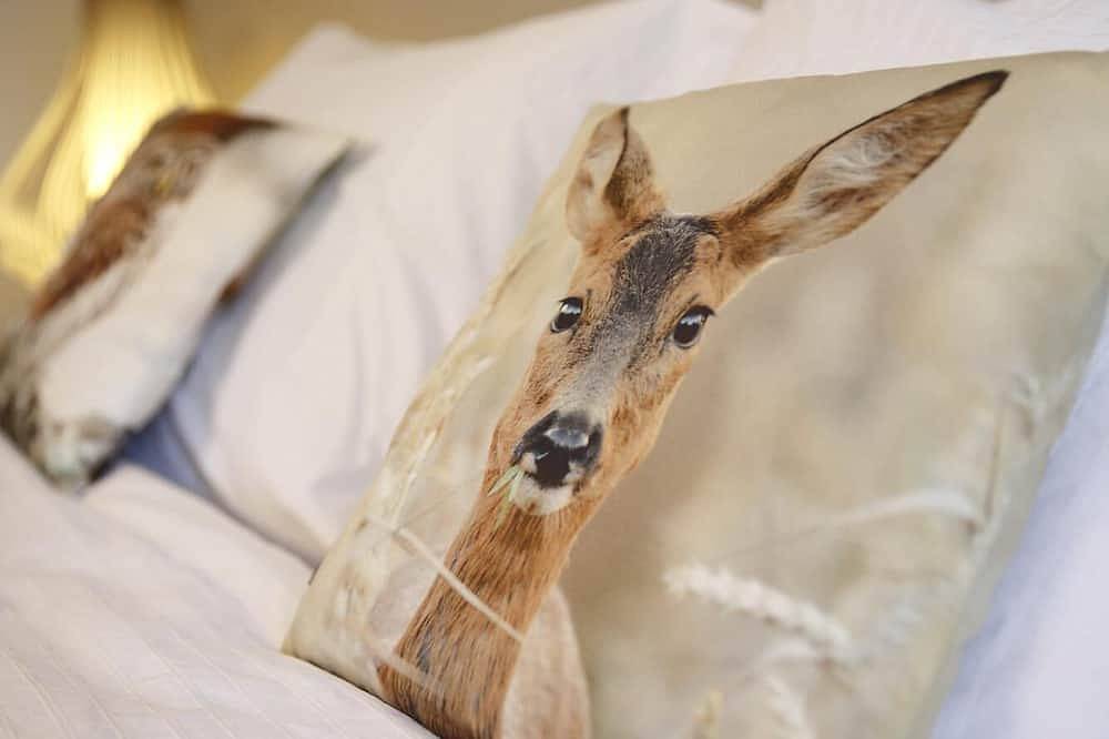 Ganze Wohnung, Apartment-Eigenes Badezimmer-Komfort-Stadtblick-Chenonceau in Chinon, Loire-Tal