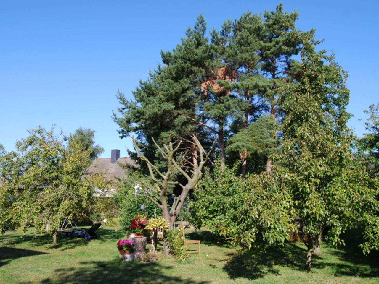 Ganze Ferienwohnung, Ferienhaus mit großem Garten - Ferienbungalow in Bodstedt, Fuhlendorf