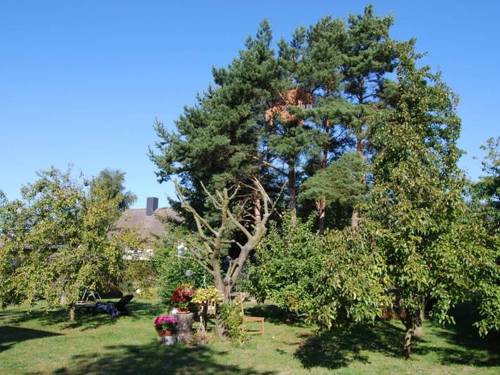 Ferienwohnung für 2 Personen, mit Terrasse und Garten in Fuhlendorf - 4