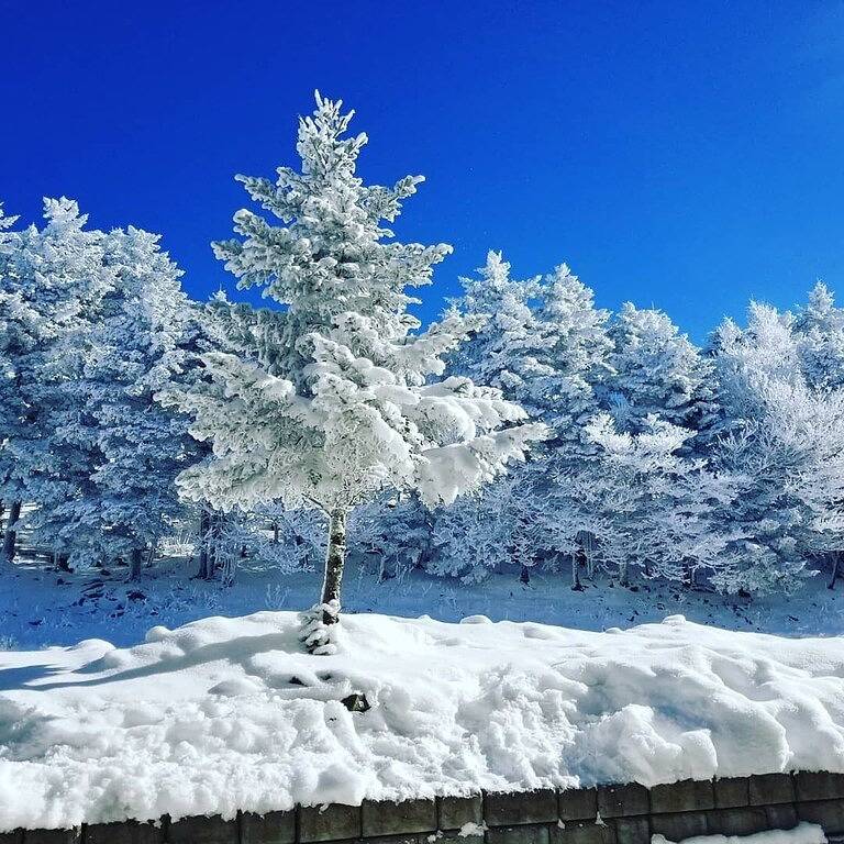 Ganze Wohnung, Gegenüber von Central Village / Pisten! 3Br Midweek Specials !!! W-Lan in Snowshoe, Greenbrier River