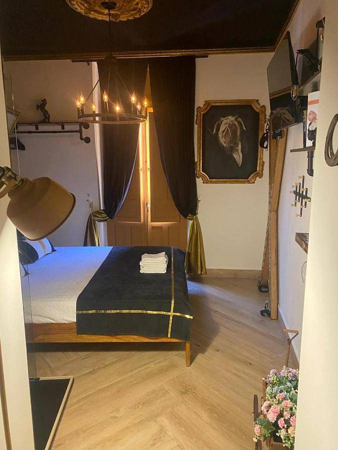 Utopía Alicante - Hotel Boutique para adultos in El Barrio, Alicante