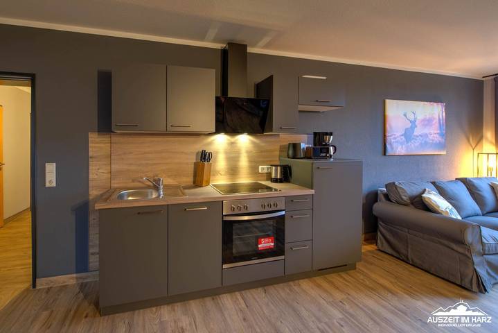 Ferienwohnung für 2 Personen, mit Balkon und Garten, mit Haustier im Harz - 2