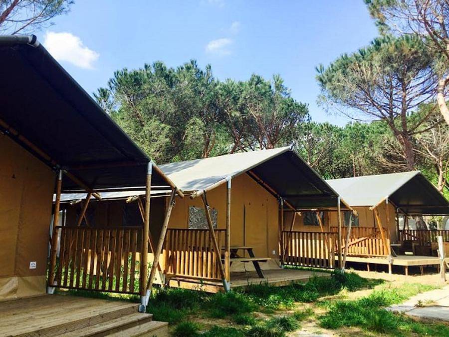 Camping Punta Navaccia  - Tente 4 personnes - Safari Lodge in Tuoro sul Trasimeno, Lac Trasimène