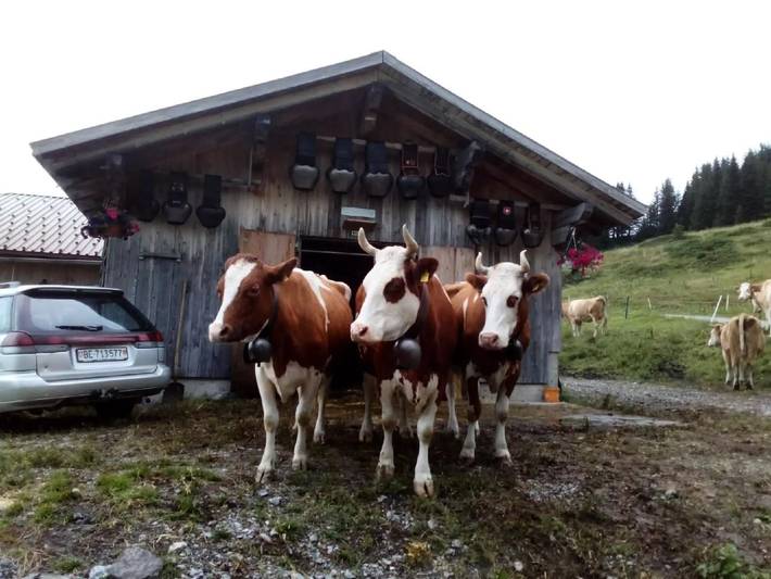 Villa für 5 Personen, mit Garten in Grindelwald