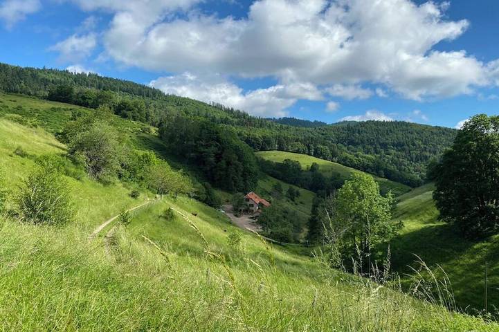 Maison de vacances pour 15 personnes, avec sauna et jacuzzi à Sainte-Marie-aux-Mines