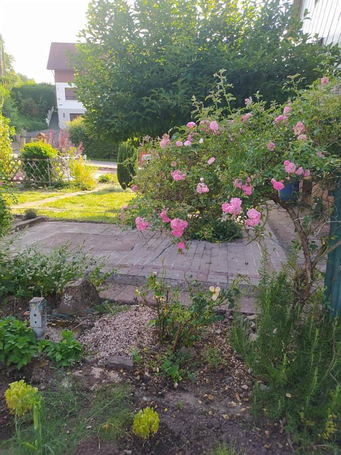 Gîte pour 5 personnes, avec jardin et balcon à Muhlbach-sur-Bruche - 3