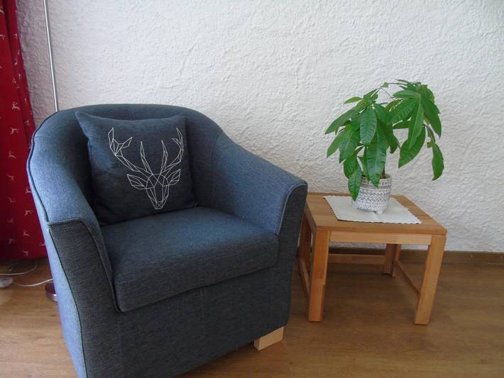 Ferienwohnung für 2 Personen, mit Terrasse und Garten, kinderfreundlich in Bad Hindelang - 3