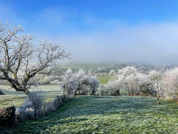 Gîte pour 6 personnes, avec jardin et vue, animaux acceptés dans Jalogny