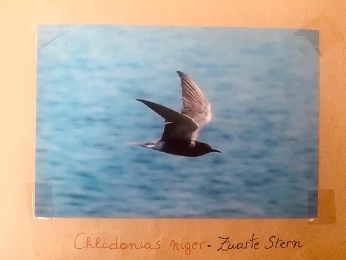 Location de vacances pour 5 personnes, avec jardin et vue à Malines - 2