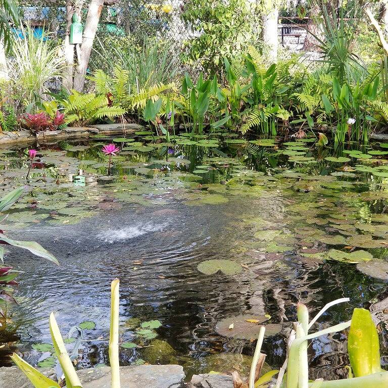 Treetops Private gemütliche ruhige Hütte / Imperial River w / Dock, Wildtiere, Kajaks in Bonita Springs, Southwest Florida