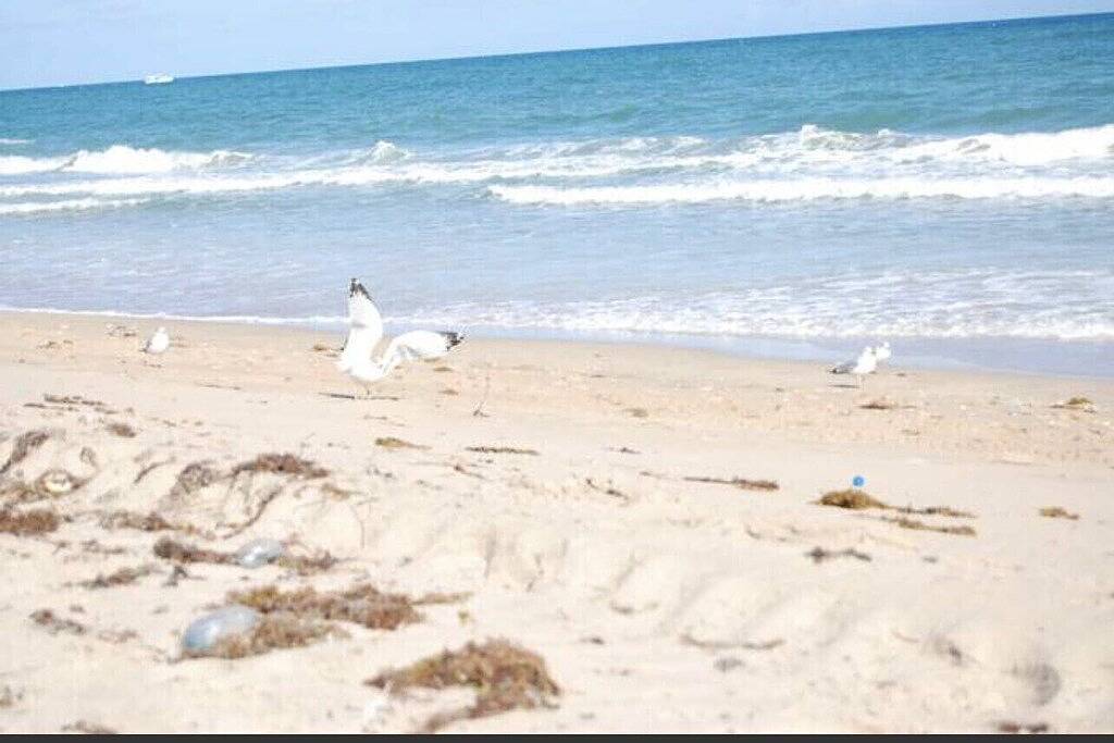 Entire home with pool for long and short stay. Fun for everyone. in Port St. Lucie, St. Lucie County