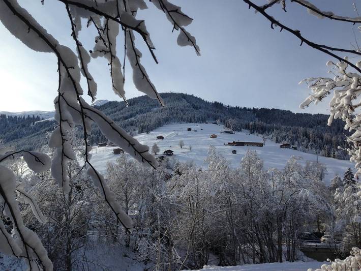 Apartamento de férias inteiro, Appartement Konny in Inneralpbach, Alpbach