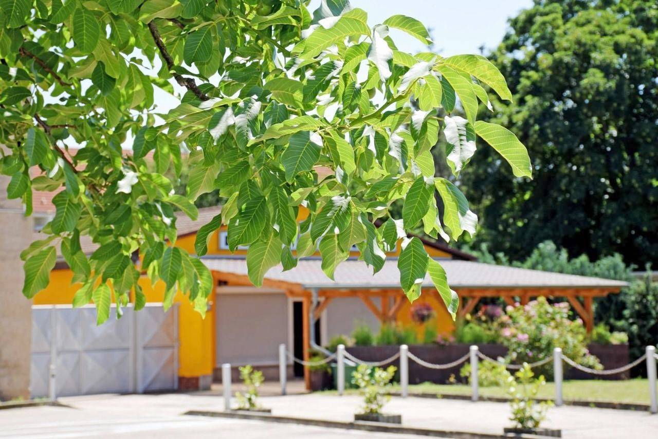 Ganze Ferienwohnung, Ferienwohnung/ Ferienzimmer Asche in Aschersleben, Region Salzlandkreis