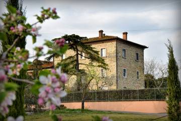 Villa for 20 Guests in Cortona, Arezzo Province, Picture 2