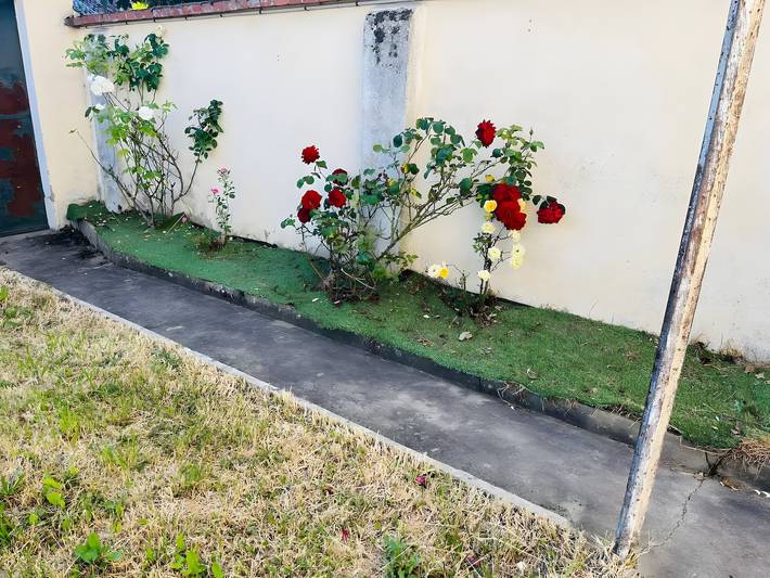 Gîte Le Flot mit privatem Garten und Wlan in Saint-Florentin in Saint-Florentin, Auxerre und Umgebung