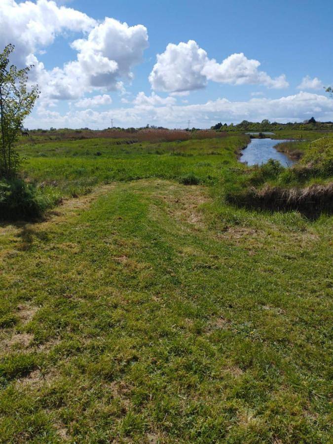 Location de vacances pour 2 personnes, avec jardin ainsi que terrasse et vue à Saint-Just-Luzac - 3