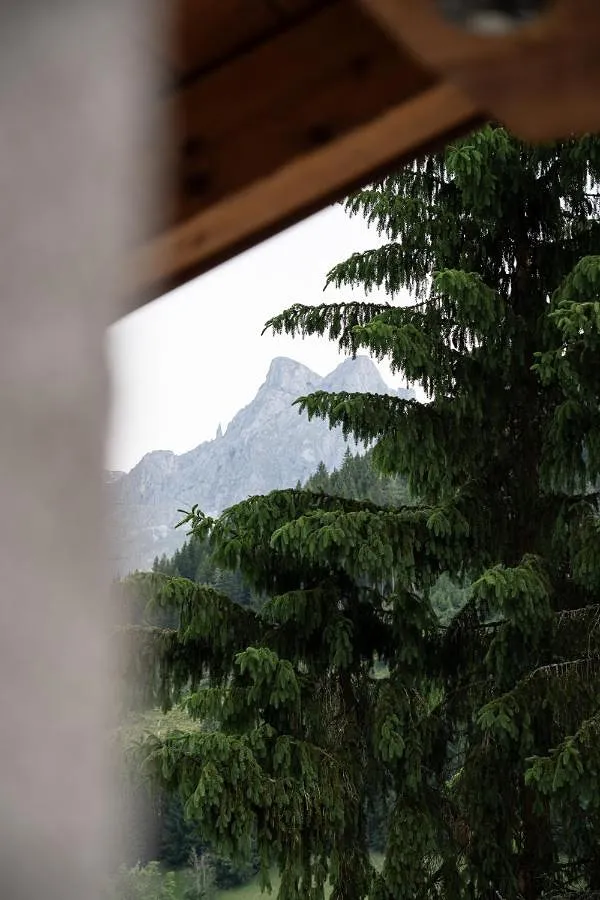 Hotel para 4 personas, con sauna además de vistas y jardín - 1