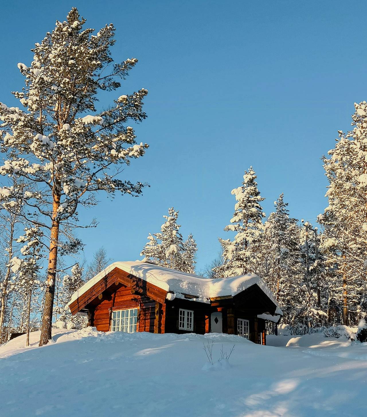 Neu gebaute Blockhütte in der Nähe von Hardangervidda in Hol