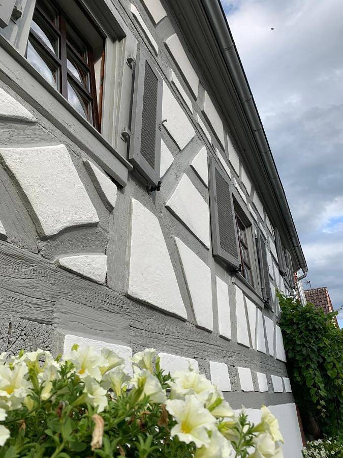 Ganze Wohnung, Apartment in Gleiszellen-Gleishorbach, Südliche Weinstraße