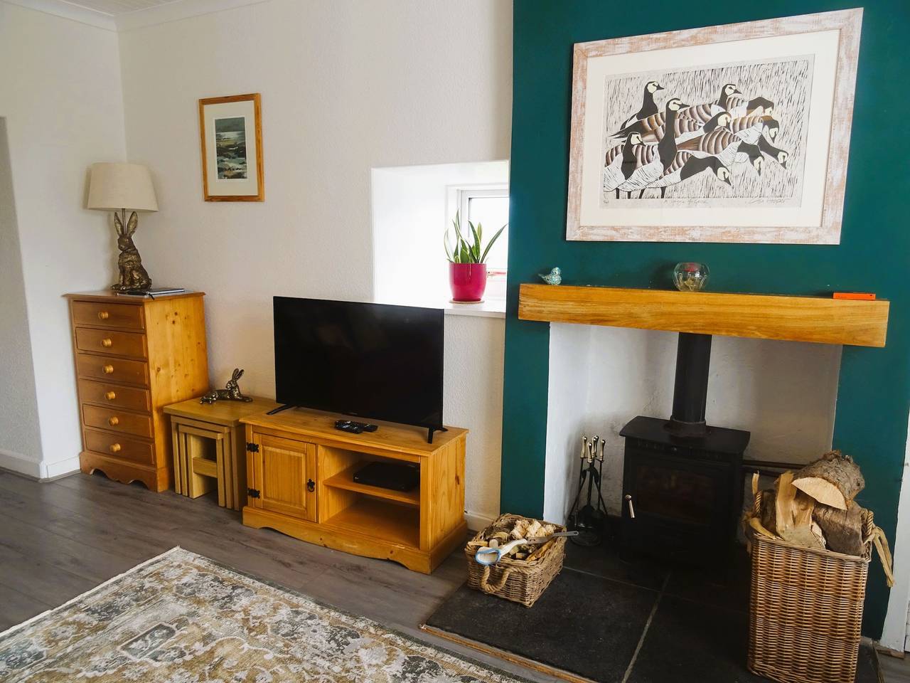 Barnacle in Dumfries and Galloway