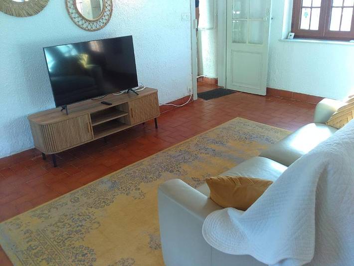 Location de vacances pour 15 personnes, avec jardin à Coullons - 4