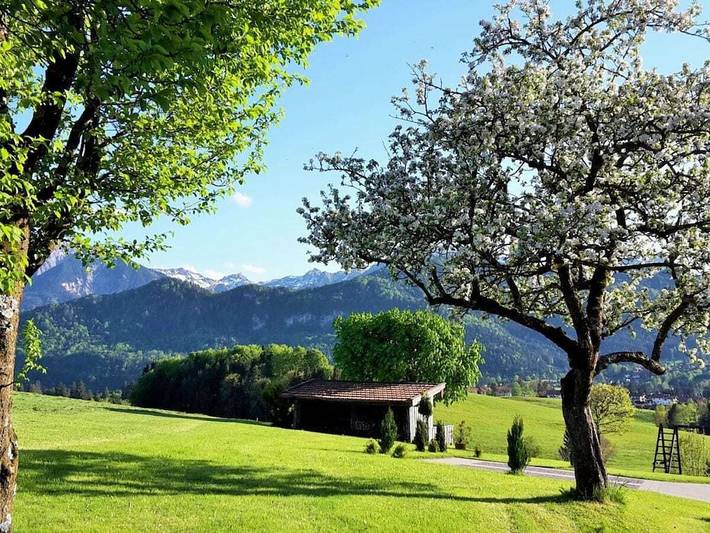 Bauernhof für 2 Personen, mit Terrasse in Hopferau - 2