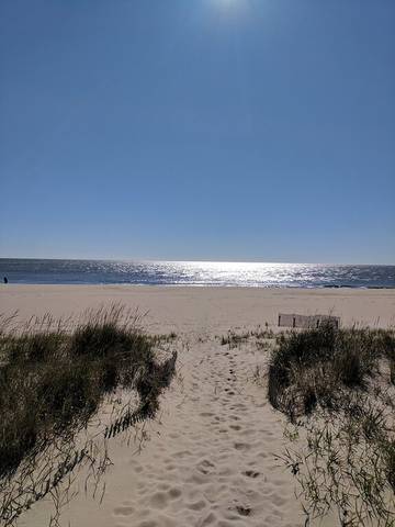 Vacation House for 12 Guests in Delaware, USA, Picture 2