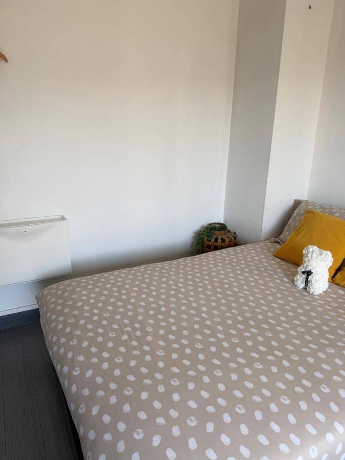 Gîte pour 3 personnes, avec vue et terrasse à Chelles - 3