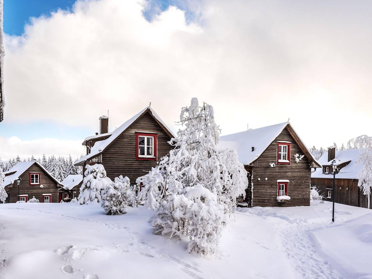 Doppelhaushälften, Torfhaus in Torfhaus, Harzvorland
