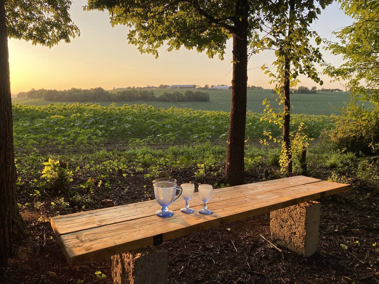 Gîte La Romieu, 3 personnes in La Romieu, Gers