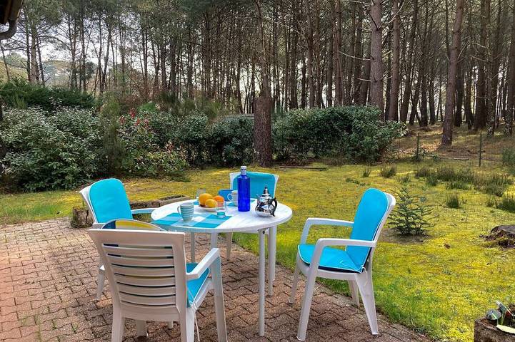 Location de vacances pour 3 personnes, avec jardin dans Maubuisson