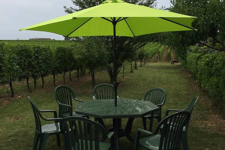 Gîte pour 7 personnes, avec jardin, animaux acceptés à Saint-Philippe-d'Aiguille