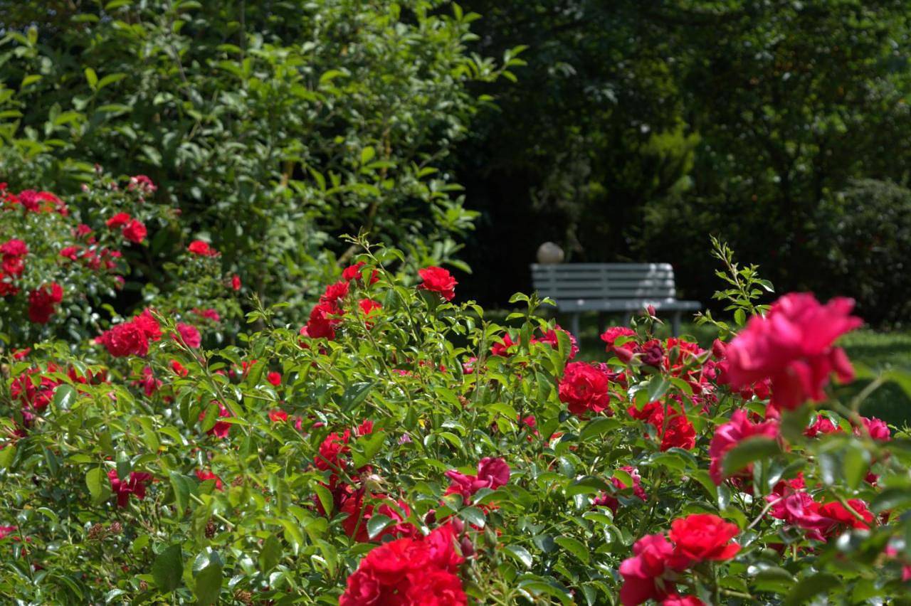 B&B Terra del Sole in Valmontone, Provincia di Roma