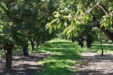 Camping for 4 Guests in Yakima Valley, Washington, Picture 4