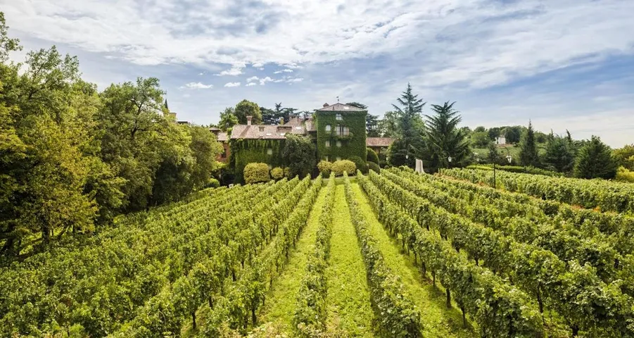 Resort per 2 persone, con panorama e giardino nonché sauna e piscina, con animali domestici - 1