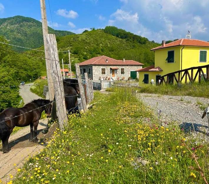 Ferienhaus für 7 Personen, mit Pool und Ausblick sowie Balkon - 1