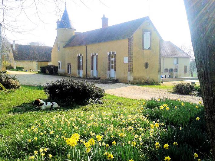 Gîte pour 6 personnes, avec jardin et terrasse, animaux acceptés dans Loiret - 2