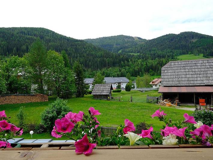 Ferienwohnung für 3 Personen, mit Garten und Pool sowie Sauna und Ausblick in Kärnten - 2