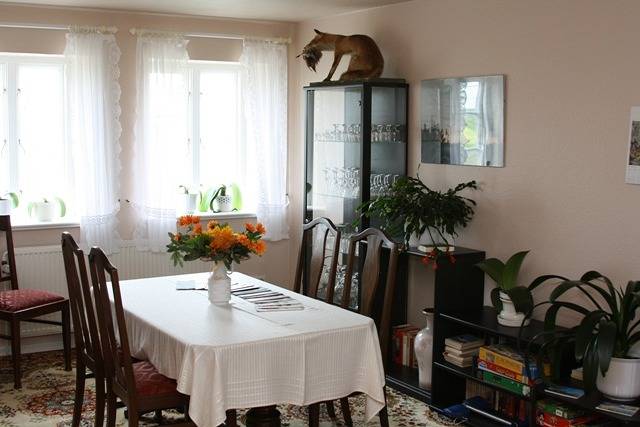 Ferienhaus für 4 Personen, mit Garten in Nordfriesland - 3