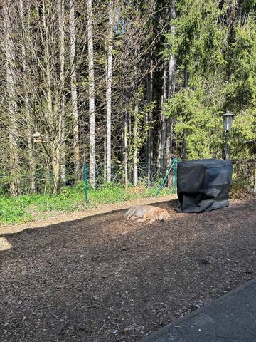 Ferienhaus für 5 Personen in Leinatal, Rennsteig, Bild 2
