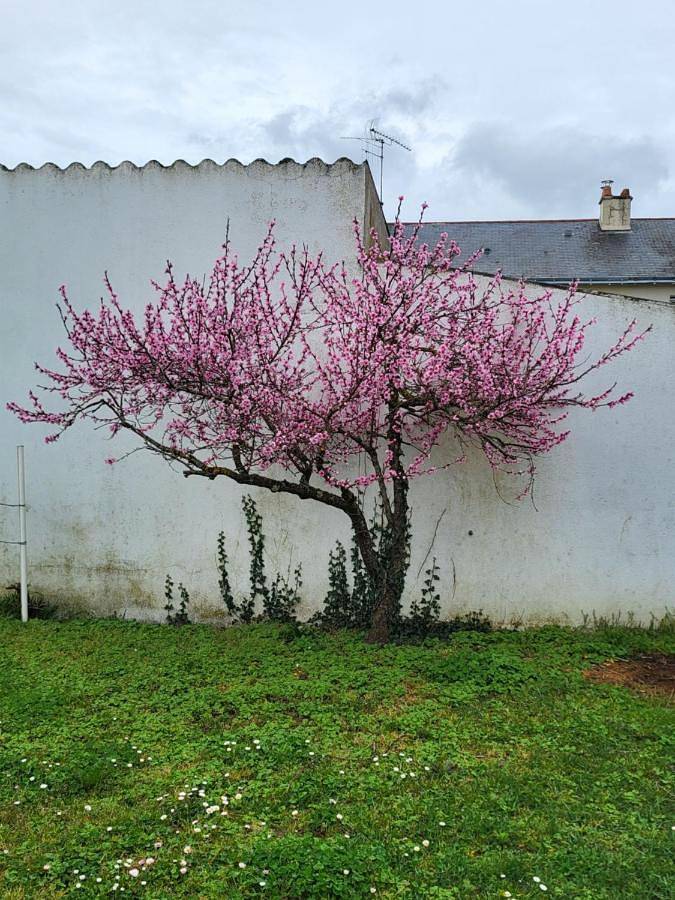 Two-Bedroom House in Doué-la-Fontaine, Vallée de la Loire