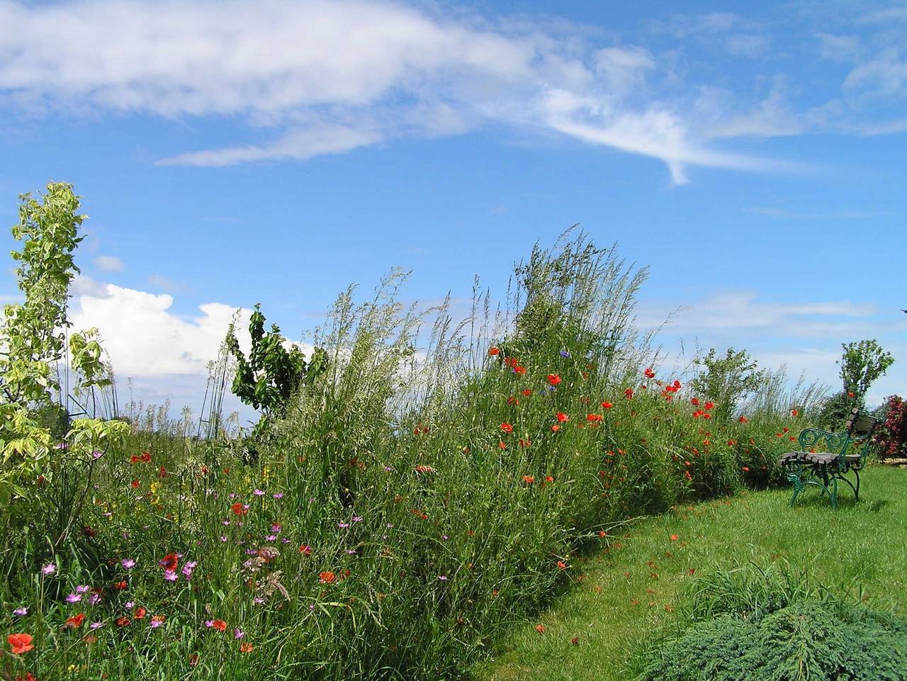 Ganze Ferienwohnung, Ferienwohnung Haß - Ferienwohnung Reethaus in Tönning in Tönning, Halbinsel Eiderstedt