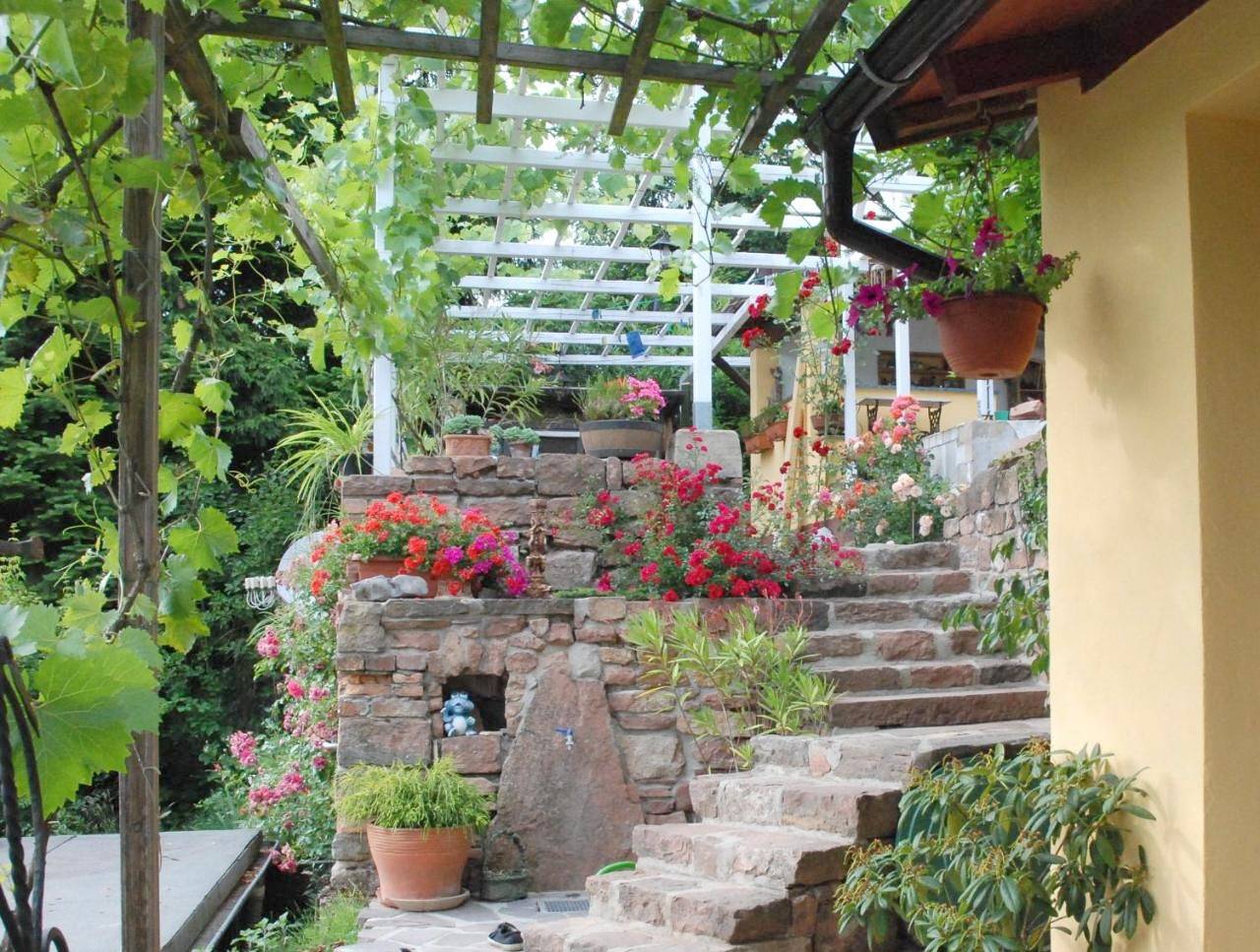 Ganze Wohnung, Am Berggarten in Ziegelhausen (Heidelberg), Heidelberg