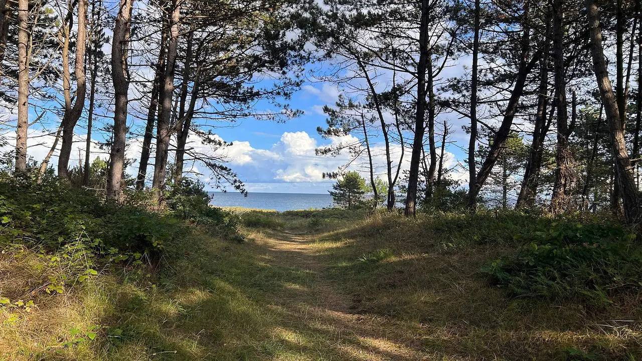Ferienhaus für 10 Personen (155 m²) in Ebeltoft in Øerne, Ebeltoft