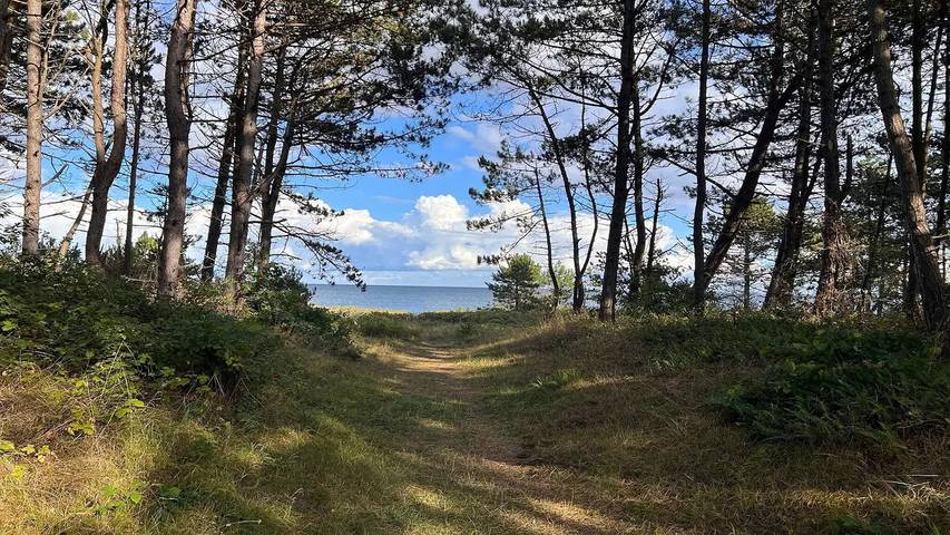 Location de vacances pour 11 personnes, avec piscine et sauna ainsi que terrasse et jacuzzi, animaux acceptés à Ebeltoft - 3