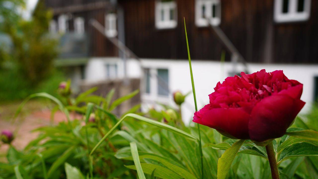 Ganze Ferienwohnung, Ferienwohnung für 4 Personen (60 m²) in Ehrenberg (Hessen) in Ehrenberg, Rhön-Hessen